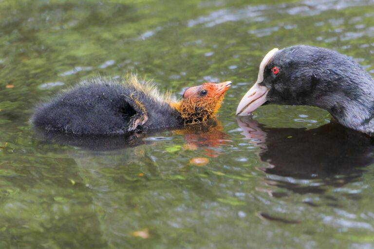 Eltern und Kind spielen gemeinsam Simracing als Brücke zur digitalen Welt
