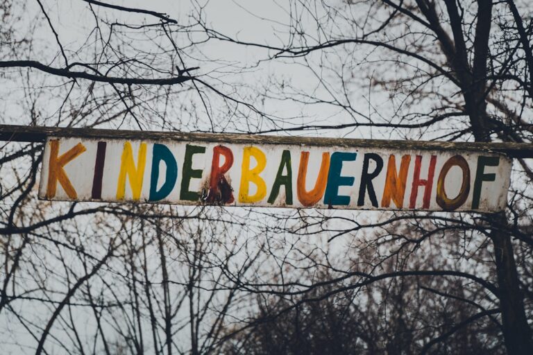 Paar spielt gemeinsam Simracing zur Entspannung bei Kinderwunschplanung